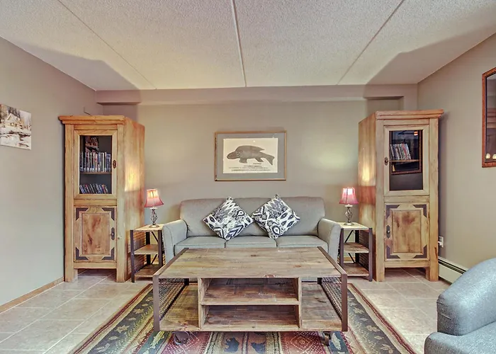 Vs367 Village Square Pet Friendly 1br 1ba Apartment Copper Mountain